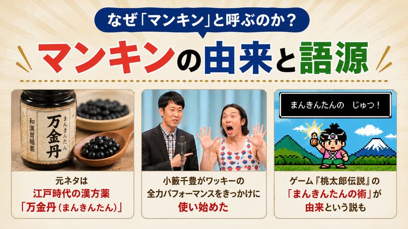 2.マンキンの由来と語源｜なぜ「マンキン」と呼ぶのか