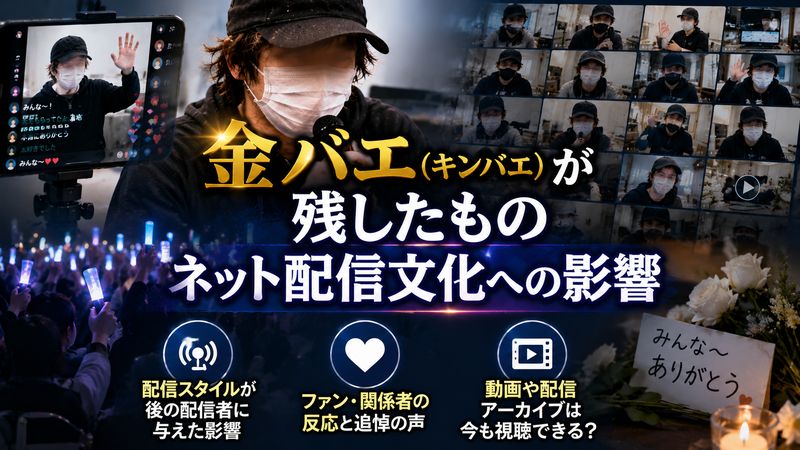 4.金バエが残したものとネット配信文化への影響