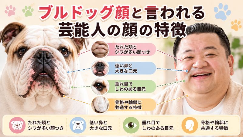 2.ブルドッグ顔と言われる芸能人の顔の特徴