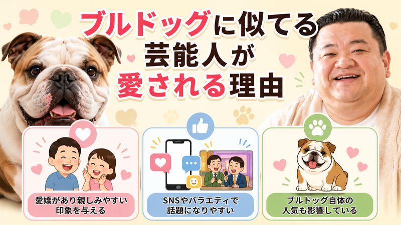 3.ブルドッグに似てる芸能人が愛される理由