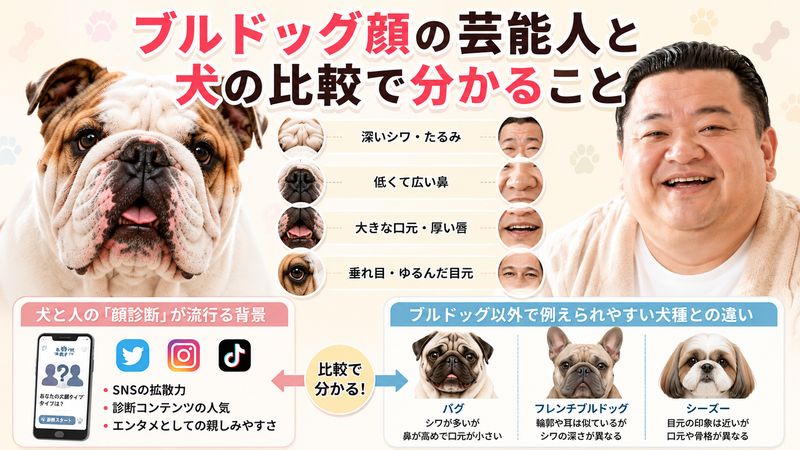 4.ブルドッグ顔の芸能人と犬の比較で分かること