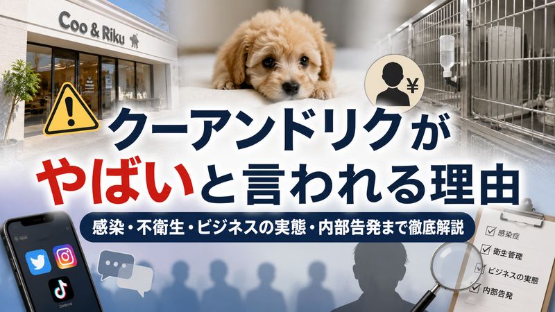 1.クーアンドリクが「やばい」と言われる理由とは