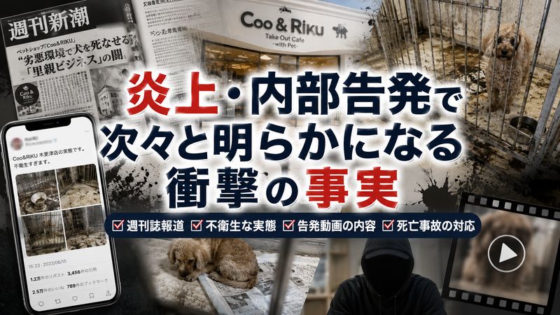 2.クーアンドリクの炎上・内部告発の具体的な事例