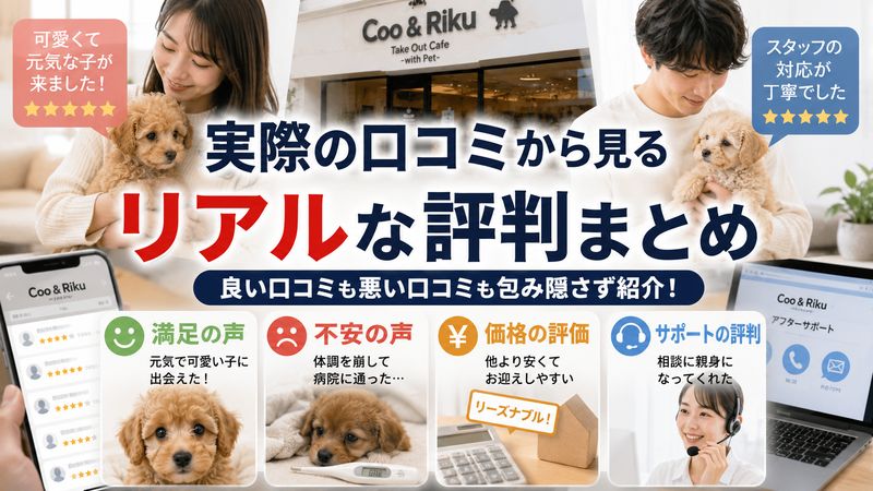3.実際に購入・利用した人のリアルな口コミ評判